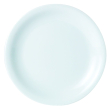 DPS PORCELITE STANDARD NARROW RIM PLATE 9.5"