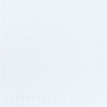 TORK 32CM 2PLY WHITE NAPKIN X2000