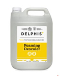 DELPHIS FOAMING DESCALER 2X5L