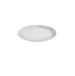 PLATE "FOOTPRINT"
