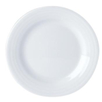 DPS PORCELITE FOCUS FLAT PLATE 10.2"