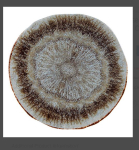 RUSTICO IRIS PLATES 17CM