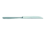 C&S LAZZO STAINLESS STEEL STEAK KNIFE 9.4"