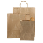 BROWN TWISTED HANDLED CARRIER BAG MEDIUM 12.5 x 5.5 x 16.25"