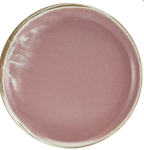 GENWARE TERRA PORCELAIN ROSE COUPE PLATE 10.8"