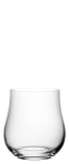 UTOPIA TULIPA TUMBLER 12OZ