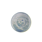 TERRA PORCELAIN SEAFOAM SAUCER 14.5CM