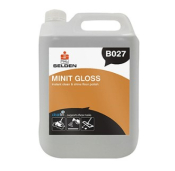 SELDEN MINUTE GLOSS INSTANT CLEAN&SHINE FLOOR POLISH 2X5LT