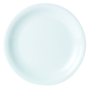 DPS PORCELITE STANDARD NARROW RIM PLATE 11inch