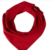 RED NECKERCHIEF