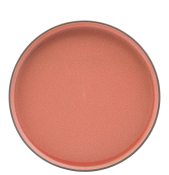 UTOPIA CORAL 10.25inch WALLED PLATE