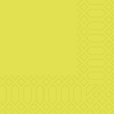 DUNI NAPKIN 24CM 2PLY KIWI