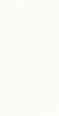 DUNISOFT NAPKIN 40CM 8FOLD WHITE 500