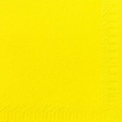 40cm 2 ply Napkins