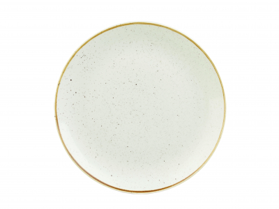 STONECAST BARLEY WHITE EVOLVE COUPE PLATE 9Inch