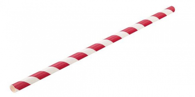 8Inch PAPER RED & WHITE STRIPED STRAW
