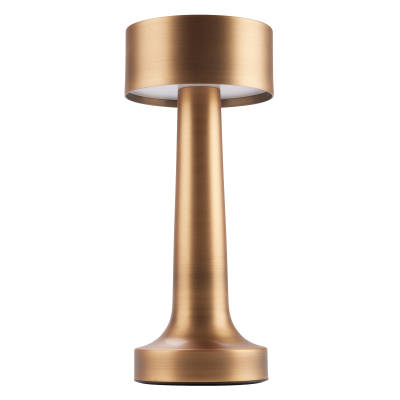 GEO BRONZE TABLE LAMP 23CM/9Inch