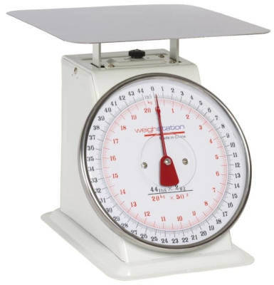 WEIGHSTATION PLATFORM SCALE 20KG F175