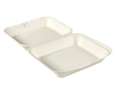 EXTRA LARGE HINGED FOOD BOX BIO RANGE 230 X 203 X 72MM