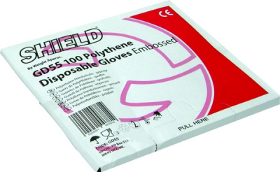 PLASTIC GLOVES CLEAR LARGE