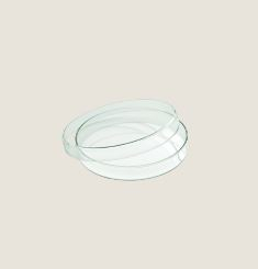 PLAYGROUND GLASS MINI BOWL FLAT 8CM WITH LID X6