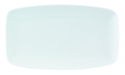 DPS PORCELITE STANDARD RECTANGULAR PLATTER 12.2X7Inch
