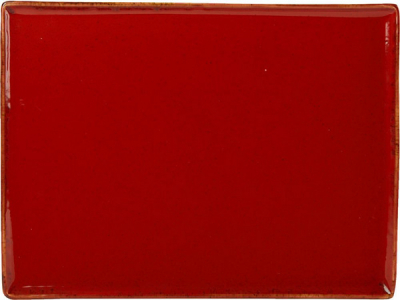 SEASONS RECTANGULAR PLATTER 270X210MM MAGMA X6 358827MA