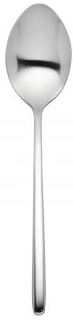 S/S RADIUS DESSERT SPOON 18/0