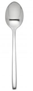 S/S RADIUS TEA SPOON 18/0