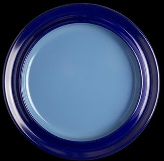STEELITE FREEDOM BLUE MELAMINE PLATE 10Inch X6  68A534EL677