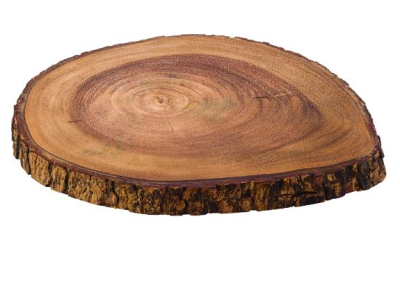 UTOPIA DARWIN BOARD 11.75Inch 30CM JMP056